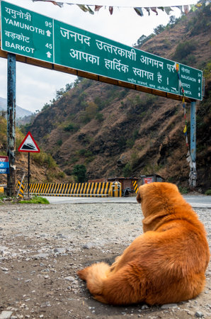 Feb.18th 2024, Uttarakhand India.