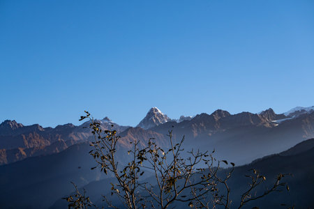 Majestic view of Srikantha and Gangotri peaks in the Garhwal Himalayas, with Raithal in Uttarkashi as a popular trekking hub in Uttarakhand, India.の写真素材