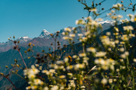 Majestic view of Srikantha and Gangotri peaks in the Garhwal Himalayas, with Raithal in Uttarkashi as a popular trekking hub in Uttarakhand, India.の写真素材