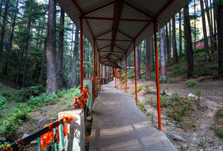 Shaded Pathway to Tarkeshwar Mahadev Temple: Lansdowne's Sacred Shiva Shrine, Uttarakhand, India