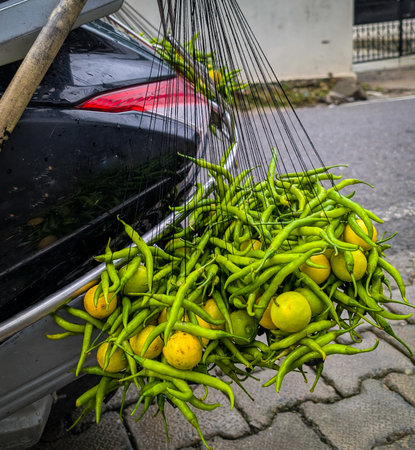 Green chilies and lemons hanging from a vehicle's rear, tied with strings. A practice in Indian Society for hindering bad luck.の写真素材