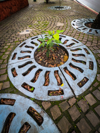A young plant growing through a circular metal grate on a cobblestone path.の写真素材
