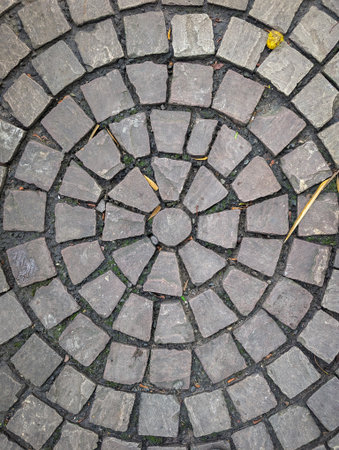 Circular stone pavement pattern with concentric designの写真素材
