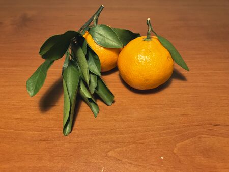 Close-up mandarin with leaflets for the new year, restaurant menu or for personal use.の写真素材