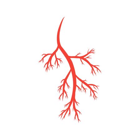humans arteries and veins vector illustration design templateのイラスト素材