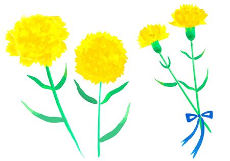 Father's Day Yellow Carnationのイラスト素材