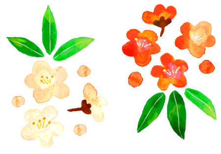 Watercolor red and white plum and bamboo cut-out illustration materialのイラスト素材