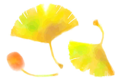 Watercolor Ginkgo and Ginkgo Cutout Illustrationsのイラスト素材