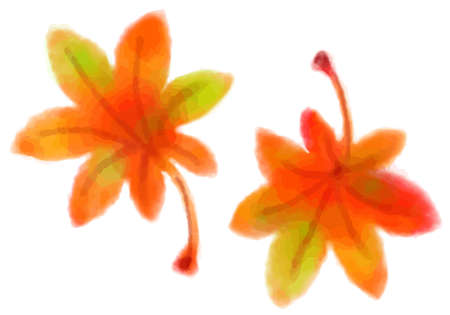 Watercolor momiji cut-out illustrationのイラスト素材