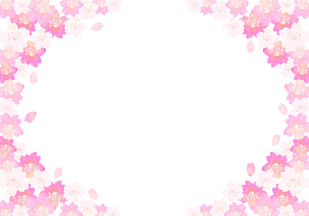 Cherry blossom background, Sakura spring flower background, Japanese styleの写真素材