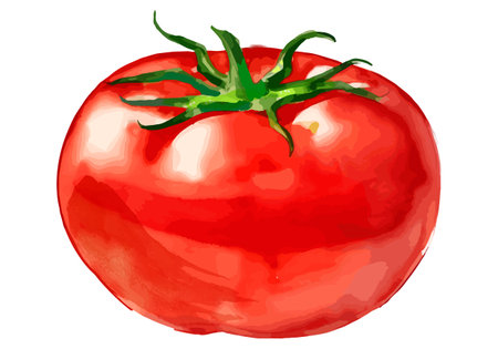 Watercolor realistic whole tomato cutout illustration (AI generated)の素材