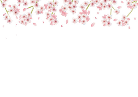 Watercolor Japanese style discreet cherry blossom frameのイラスト素材