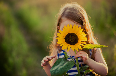 flower of sunflower in the hands of a child who hides behind himの写真素材