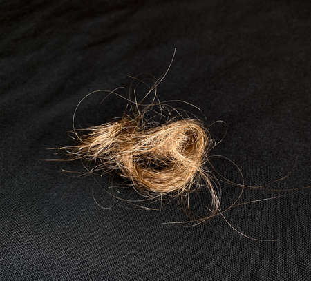 A twisted tuft of hair, womens straight hair, unpainted. After combing, they are taken from the...