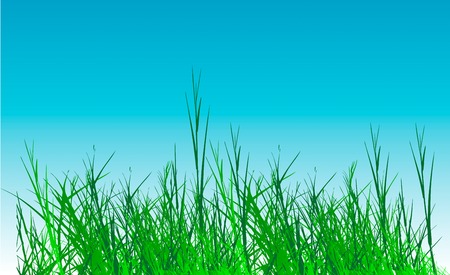 grass vector on sky backgroundのイラスト素材