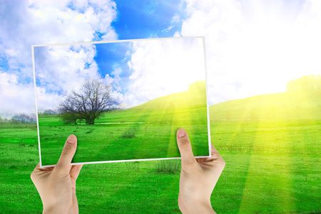 Hand holding photo of field of green grass and tree on background with sunriseの写真素材