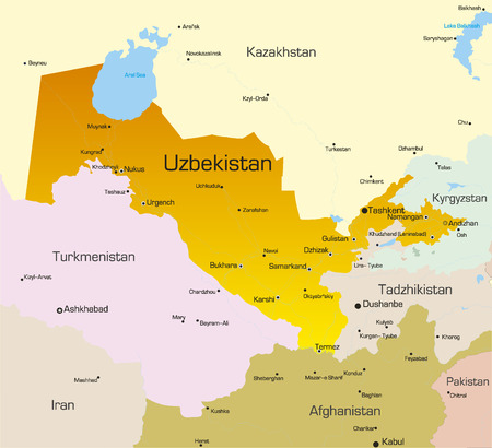 Vector color map of Uzbekistan country のイラスト素材