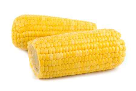 Ripe corn isolated on a white backgroundの写真素材