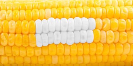 Stomatology concept of ripe yellow corn as teethの写真素材