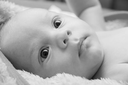 black & white photo of newborn baby lying at the bed
の写真素材
