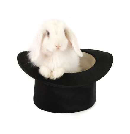White rabbit at black hat isolated on a white backgroundの写真素材