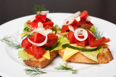 Toast with vegetables, cheese, tomato, pepper, onion, cucumber and garlicの写真素材