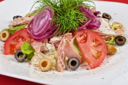 Salad of lettuce, tomato, chicken meat, olive, greens, onionの写真素材