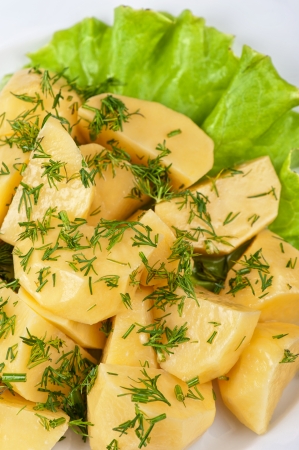 fresh boiled potatoes with greensの写真素材