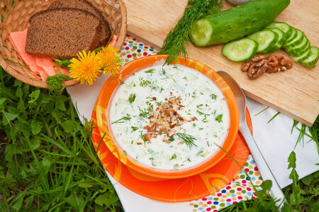 Tarator, cold sour milk soup in an orange bowlの写真素材