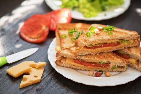 Cheese sandwich with tomato and green lettuceの写真素材