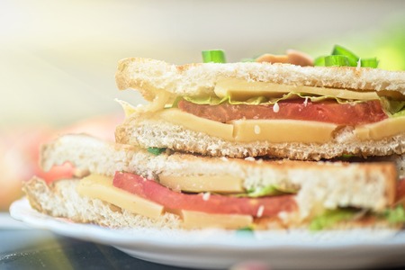 Cheese sandwich with tomato and green lettuceの写真素材