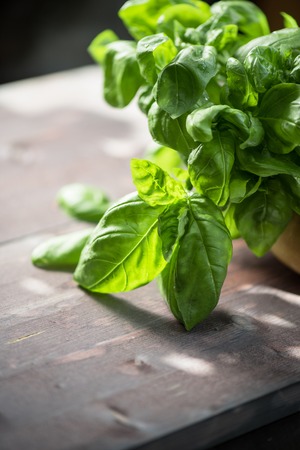 Fresh organic basil leaves on a wooden tableの写真素材