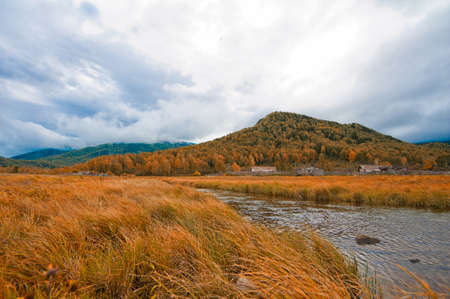 Autumn at mountain village. Morning fog at riverの写真素材