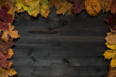 Wood autumn background with free space for designの写真素材