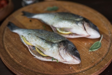 Fresh uncooked dorado with lemon, herbs, oil and spices ready for preparingの写真素材