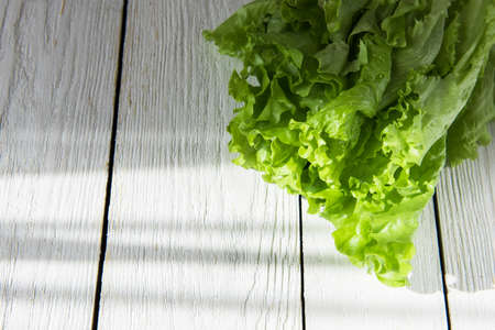 lettuce salad on a white wood backgroundの写真素材