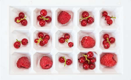Fresh berries raspberry and red currant in square formの写真素材