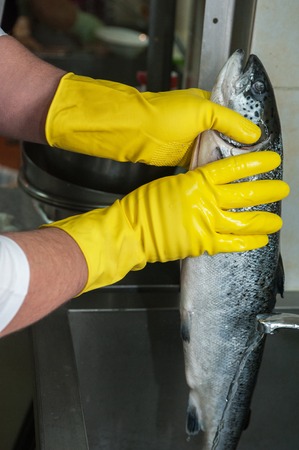 Hands in gloves washing and cleaning salmon fish at the kitchen sink