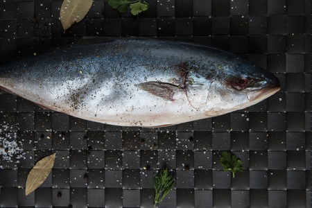 raw tuna fish with salt and spices on black backgroundの写真素材
