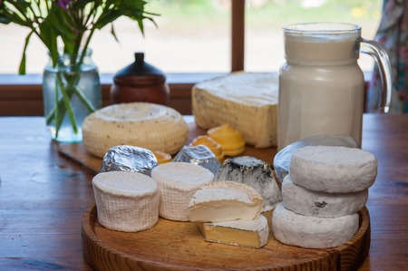 Set of different cheese: camembert, croton, mozzarella, smoked mozzarella and otherの写真素材