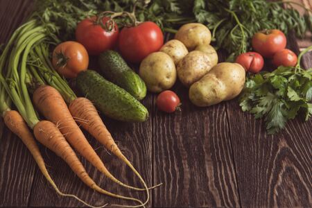 Close up of various freshly grown raw vegetablesの写真素材