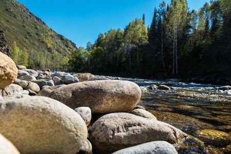 Fast mountain river in Altay