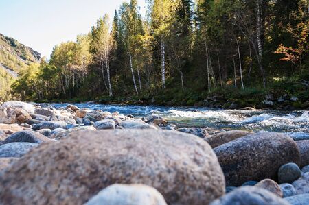Fast mountain river in Altayの写真素材