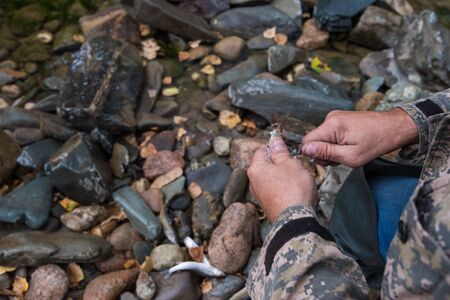 Fisherman cleaning grayling fish by knife at outdoorsの写真素材