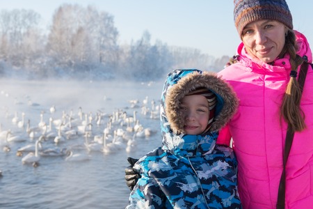 Woman at winter nonfreezing lake with white whooping swans. The place of wintering of swans, Altay, Siberia, Russia.の写真素材