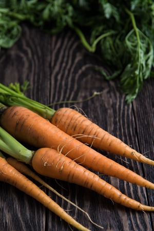 Freshly grown carrots on wooden tableの写真素材