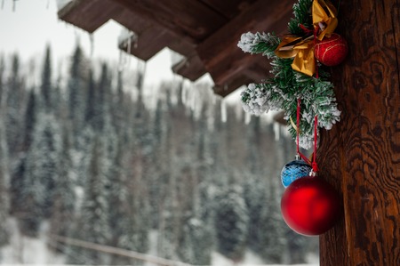Ready for New year in pine forestの写真素材