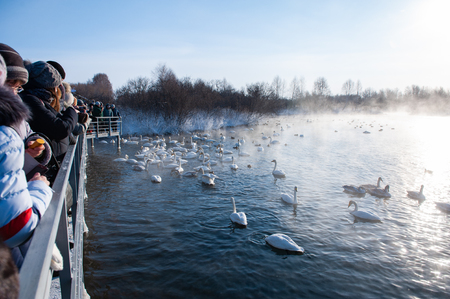 SVETLOE LAKE. ALTAISKIY KRAI. WESTERN SIBERIA. RUSSIA - DECEMBER 2, 2018: Peoples at swans lake in the Altaiskaya Zimovka holiday - the first day of winter on December 2, 2018 in Altayskiy krai, Siberia, Russia.のeditorial素材