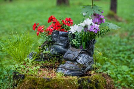 Touristic boot with flowers in the forest. Summer background with forgotten boots and wild flowers. Concept of summer season and traveling.の写真素材