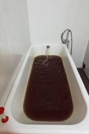 Panty detox bath therapy concept. Maral bathroom with real antlers of maral. Alternative coametology...